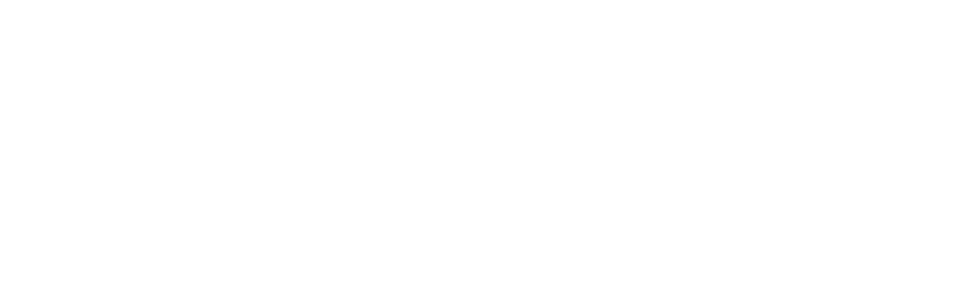 Didata